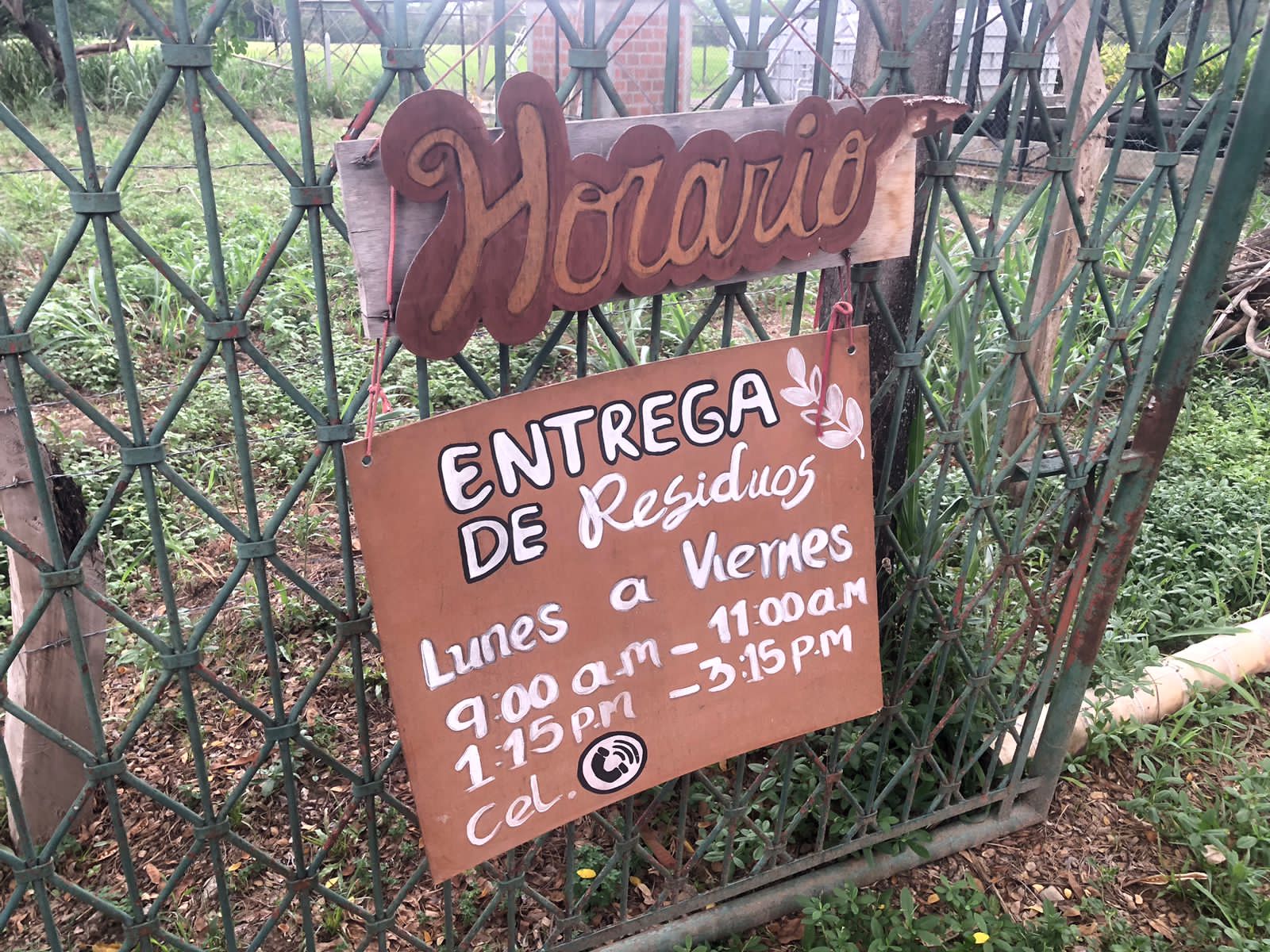 Recuperar contraseña