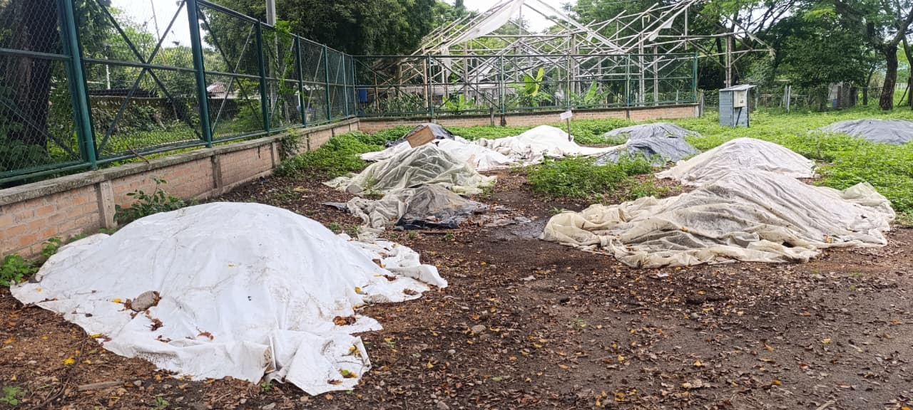 Características del sistema